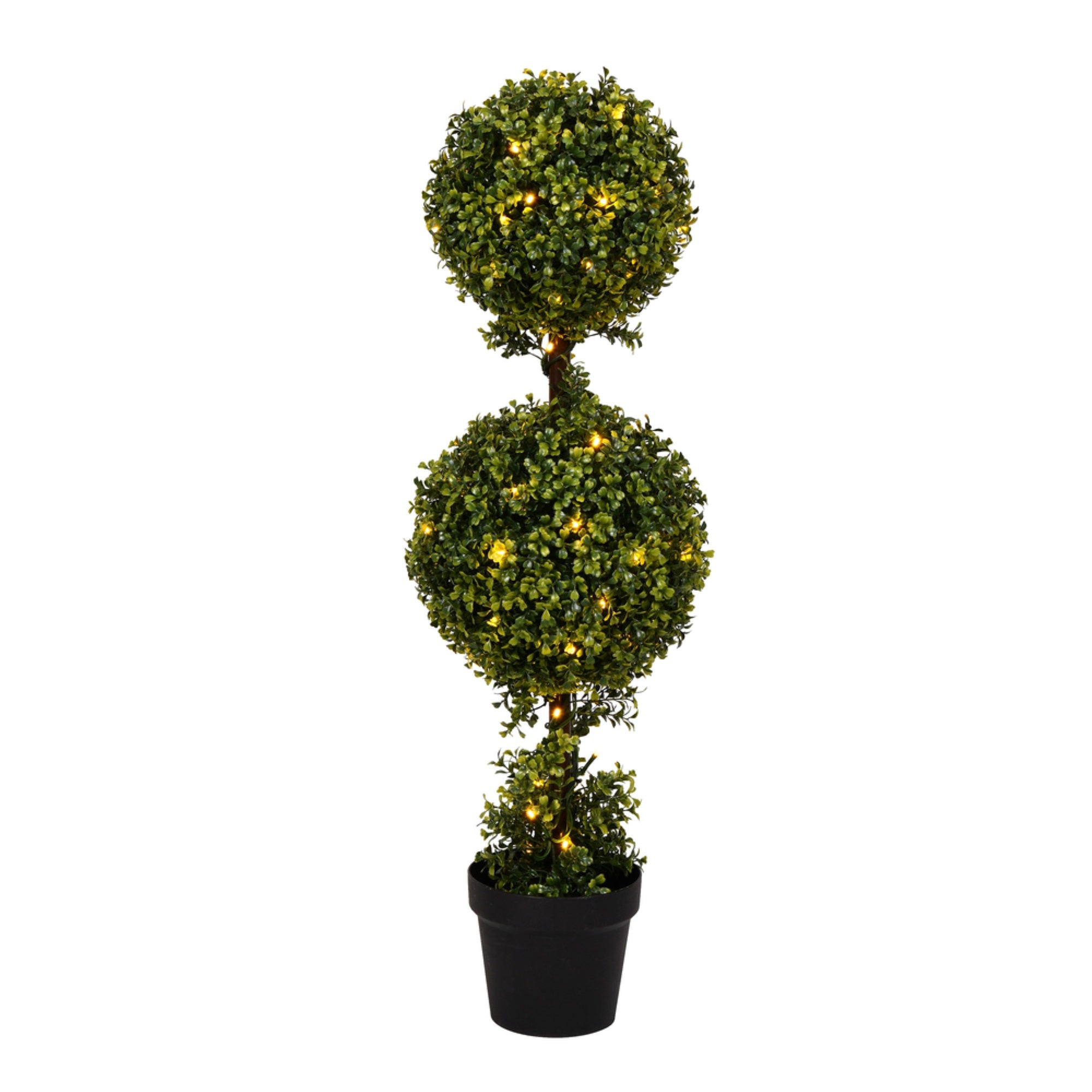 3' Boxwood Double in Pot 70WW LED
