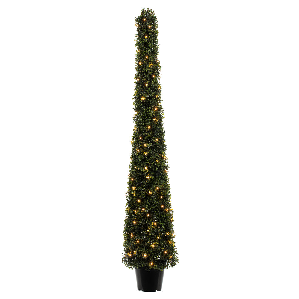 Vickerman 5' Potted Boxwood Cone 150 WmWht LED UV - TP192061LED
