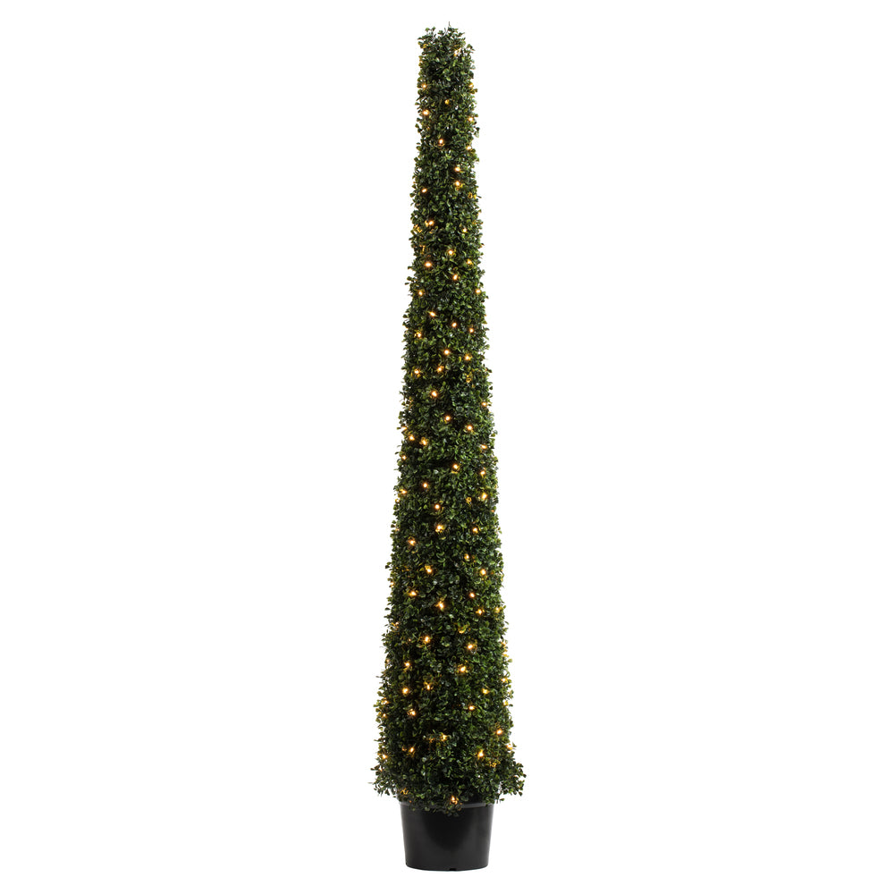 Vickerman 6' Potted Boxwood Cone 200 WmWht LED UV - TP192073LED