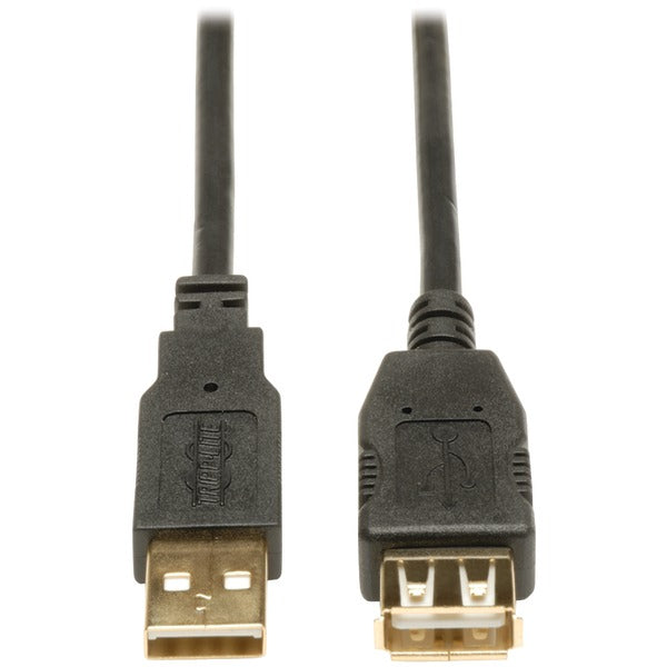 Usb Ext Cable 10 Ft
