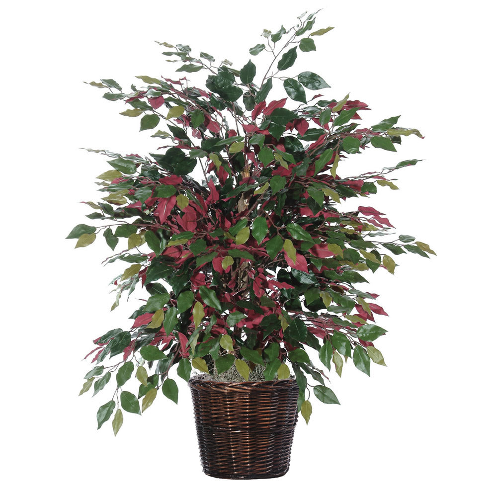 Vickerman 4' Capensia Extra Full - TXX0340