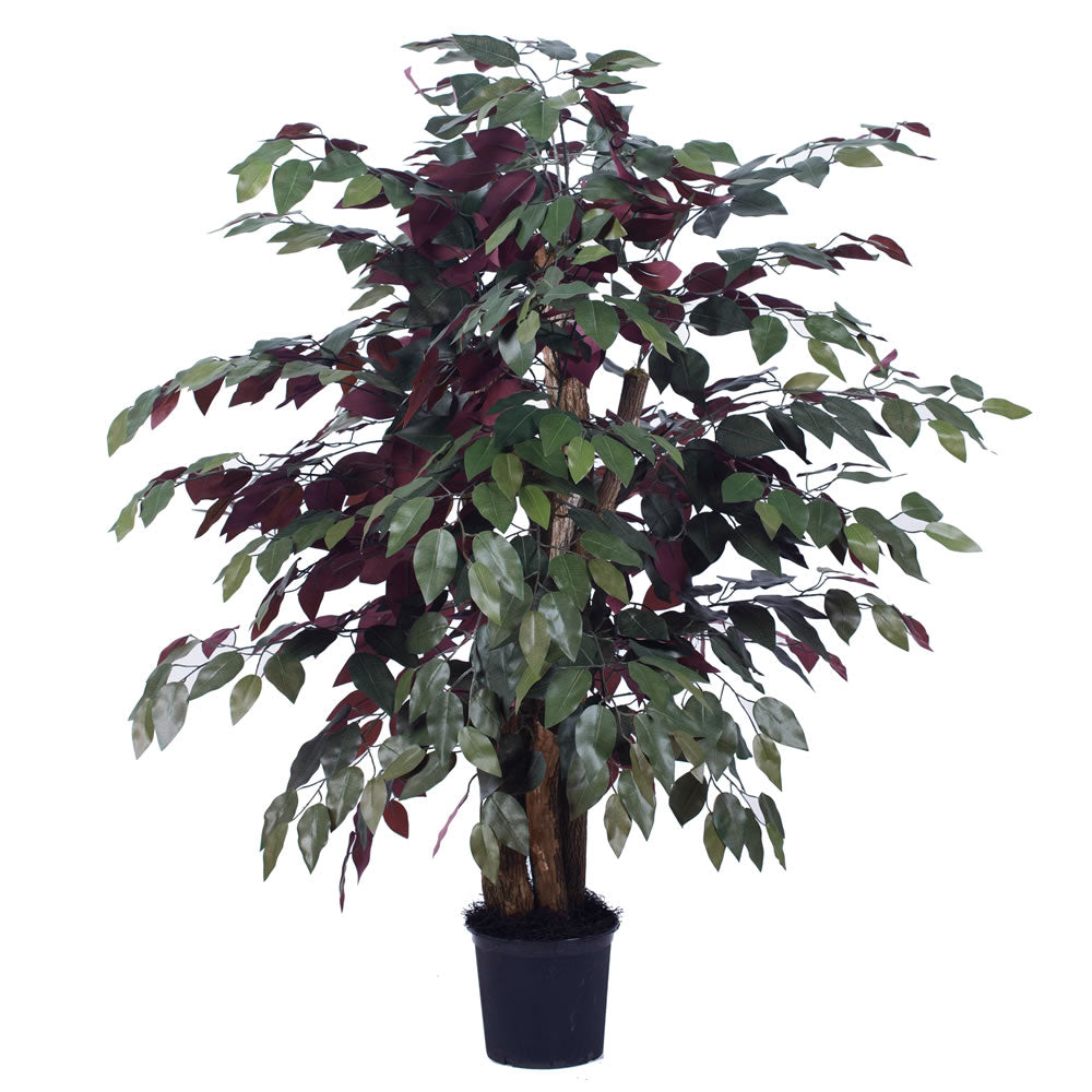 Vickerman 4' Capensia Extra Full - TXX0340-06