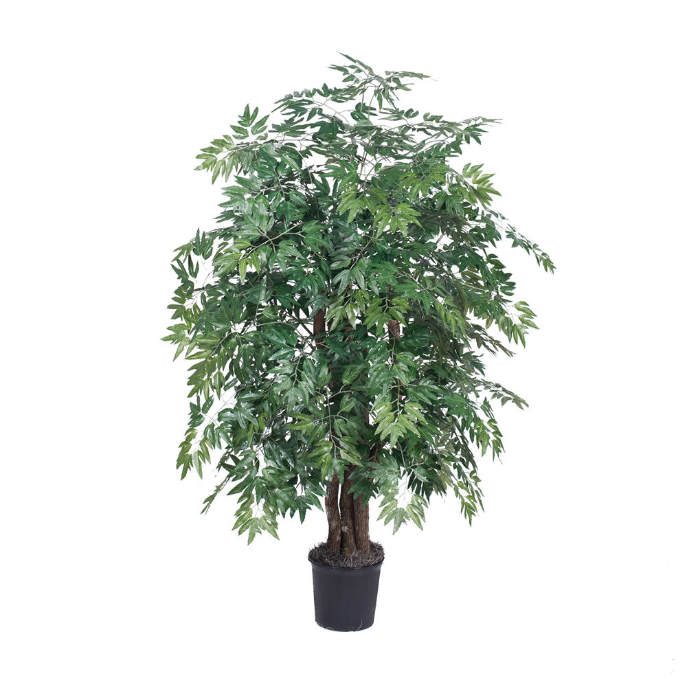 Vickerman 4' Ming Aralia Extra Full - TXX0640-06