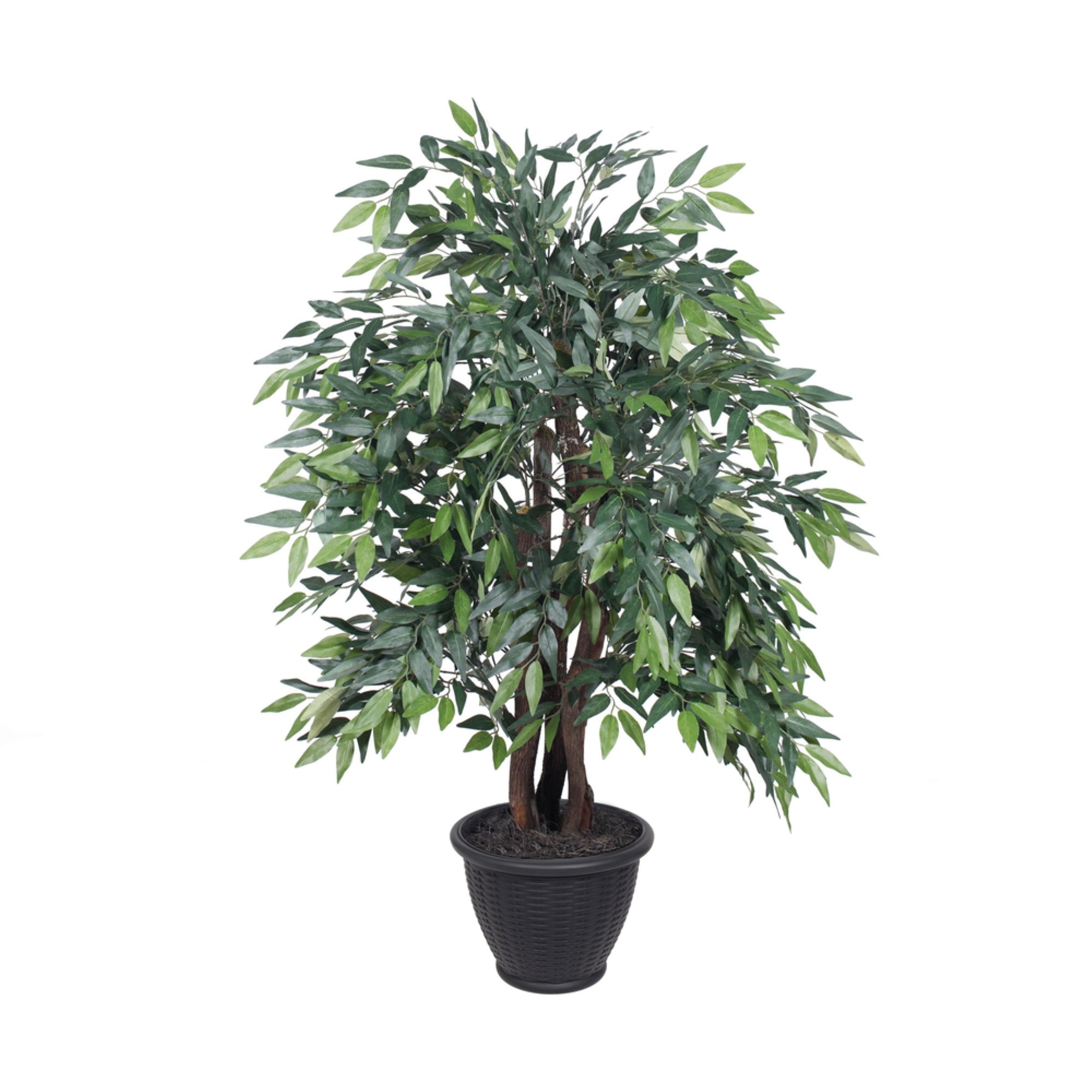 4' Green Smilax Extra Full in Gray Pot