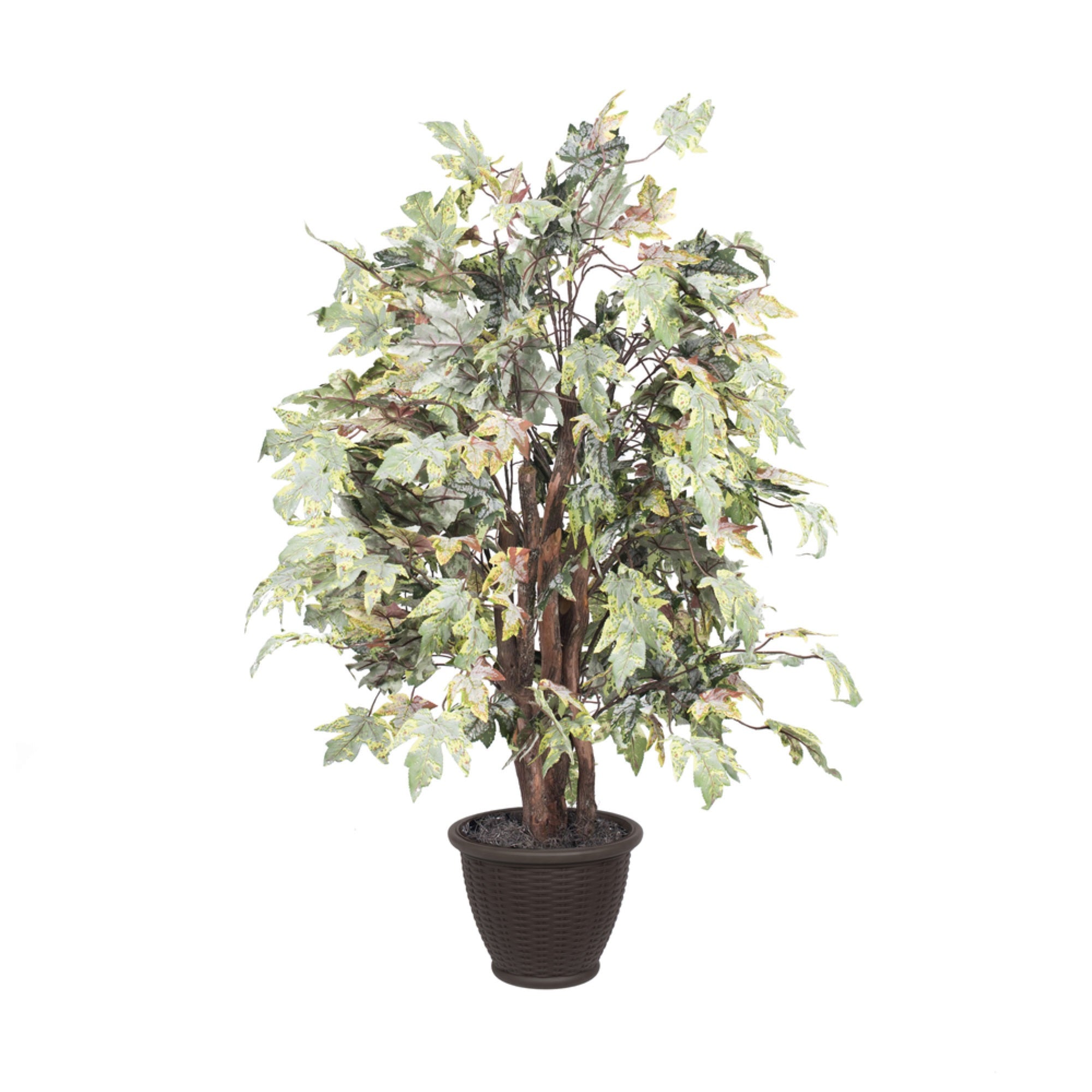 4' Frosted Maple Extra Full in Plastic