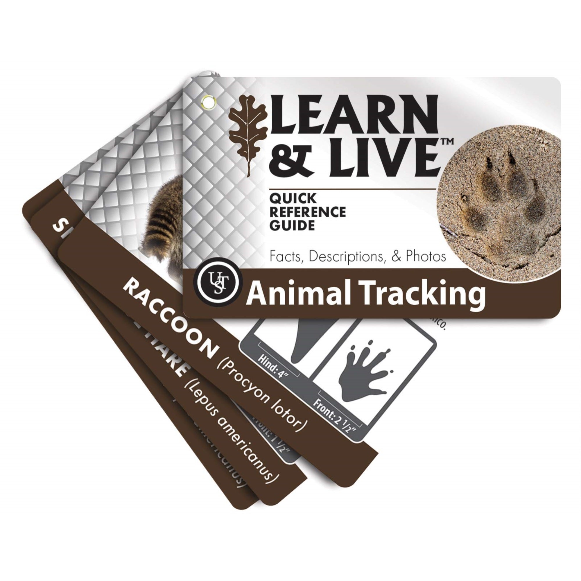 Ust Learn & Live Cards Cloud, Blister