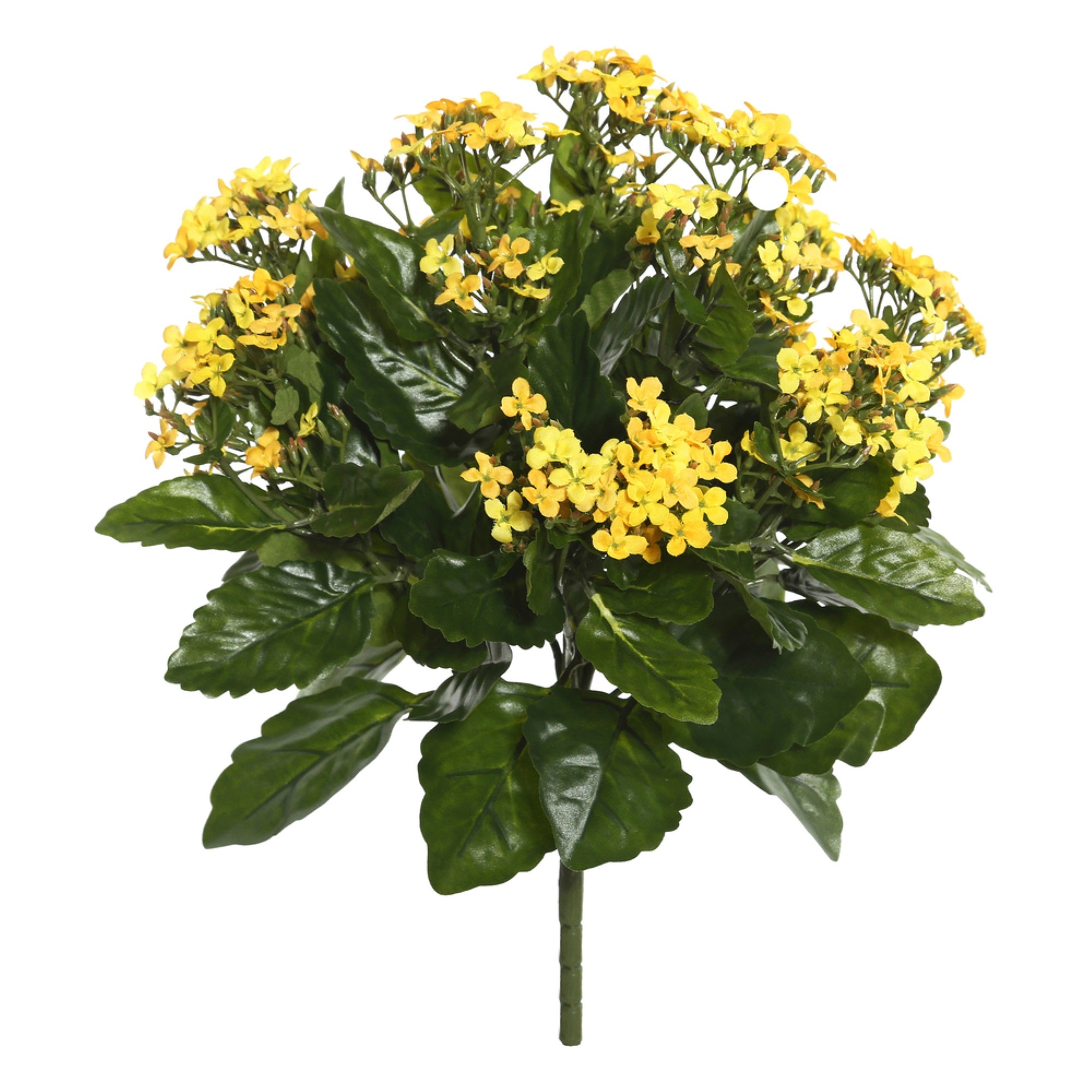 Vickerman 15″ Yellow Kalanchoe Bush - FL170203