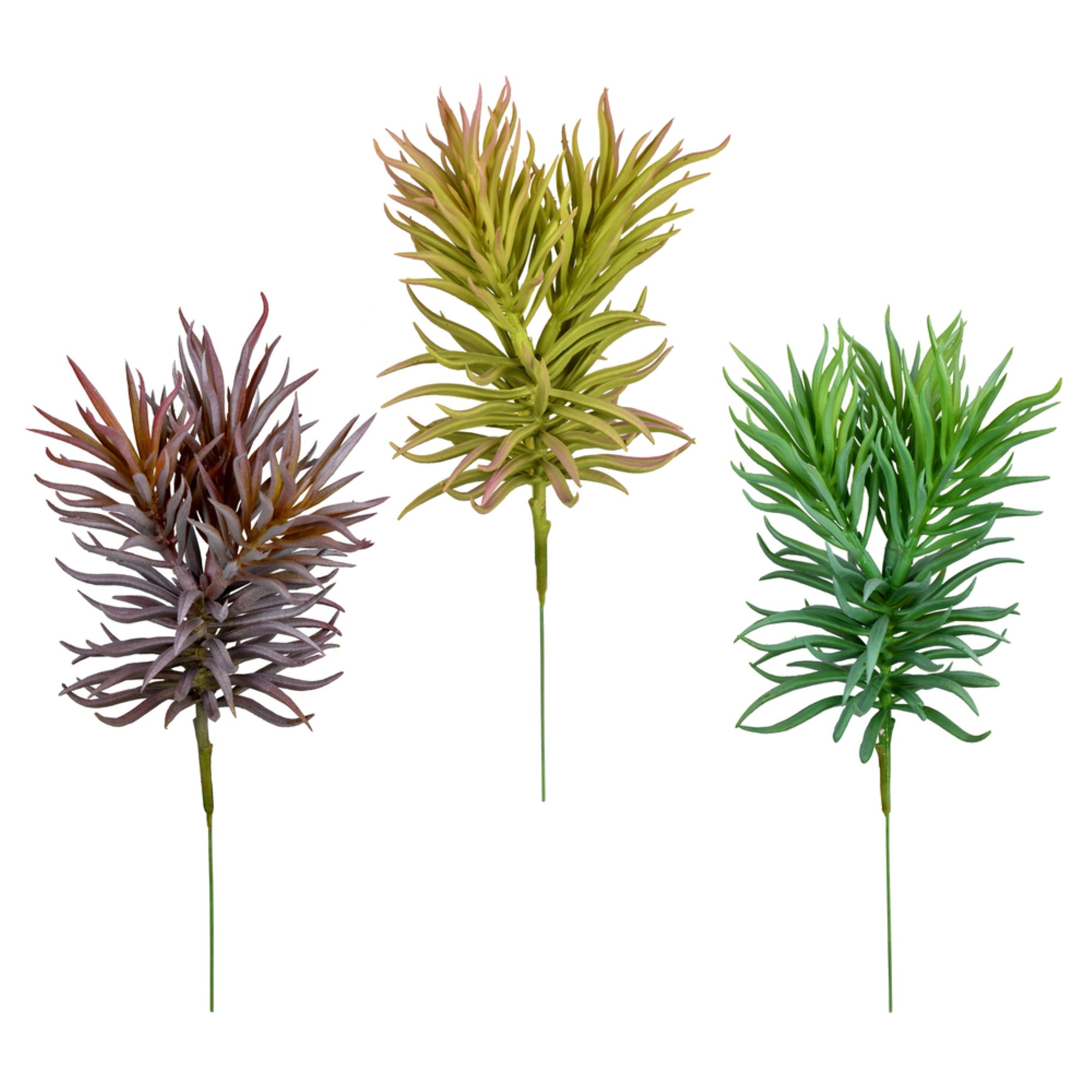Vickerman 8” Green/Gray/Purple Succulent Asst Pk/3 - FO197008