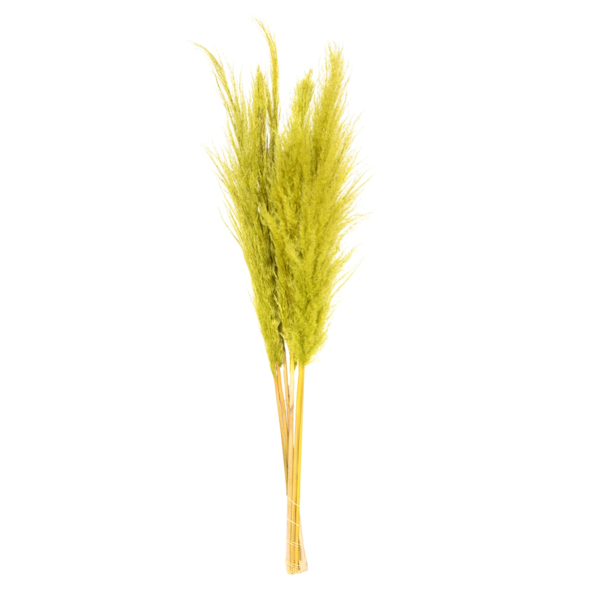 46” Light Basil Green Pampas Grass 6Pk