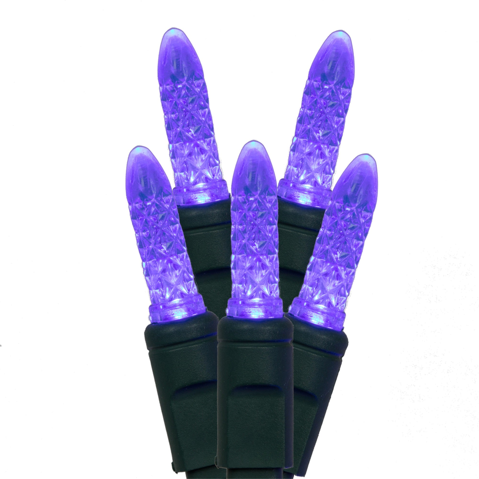 Vickerman 70Lt LED Blue/GW M5 EC Set 4”x24'L - X4G5702PBG