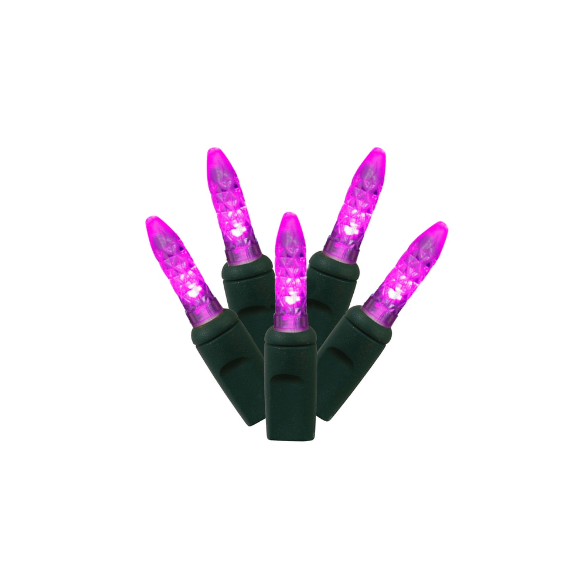 Vickerman 70Lt LED Purple/GW M5 EC Set 4”x24'L - X4G5706PBG