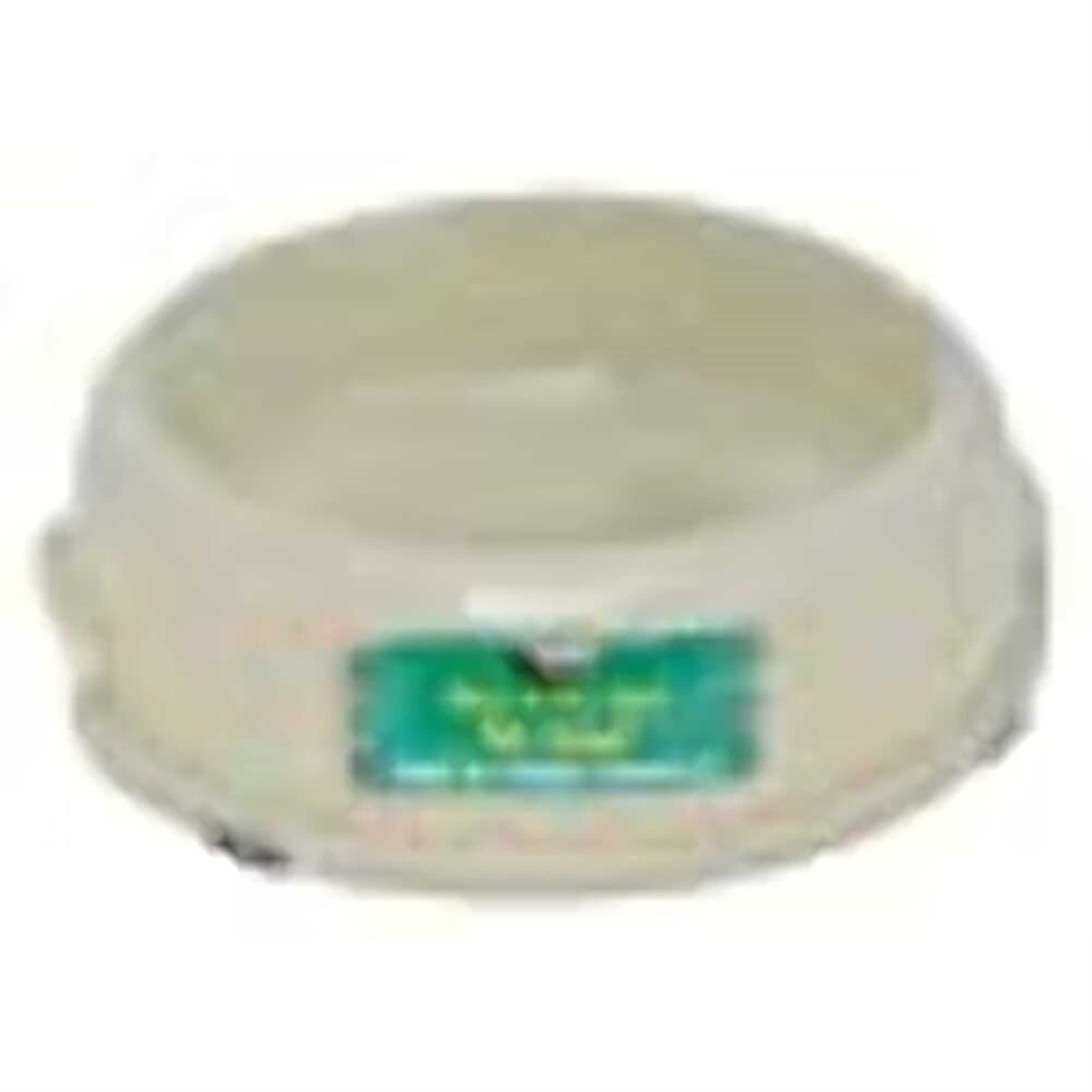 Valterra A10-2004 Glow-In-The-Dark Pet Bowl - Single Bowl