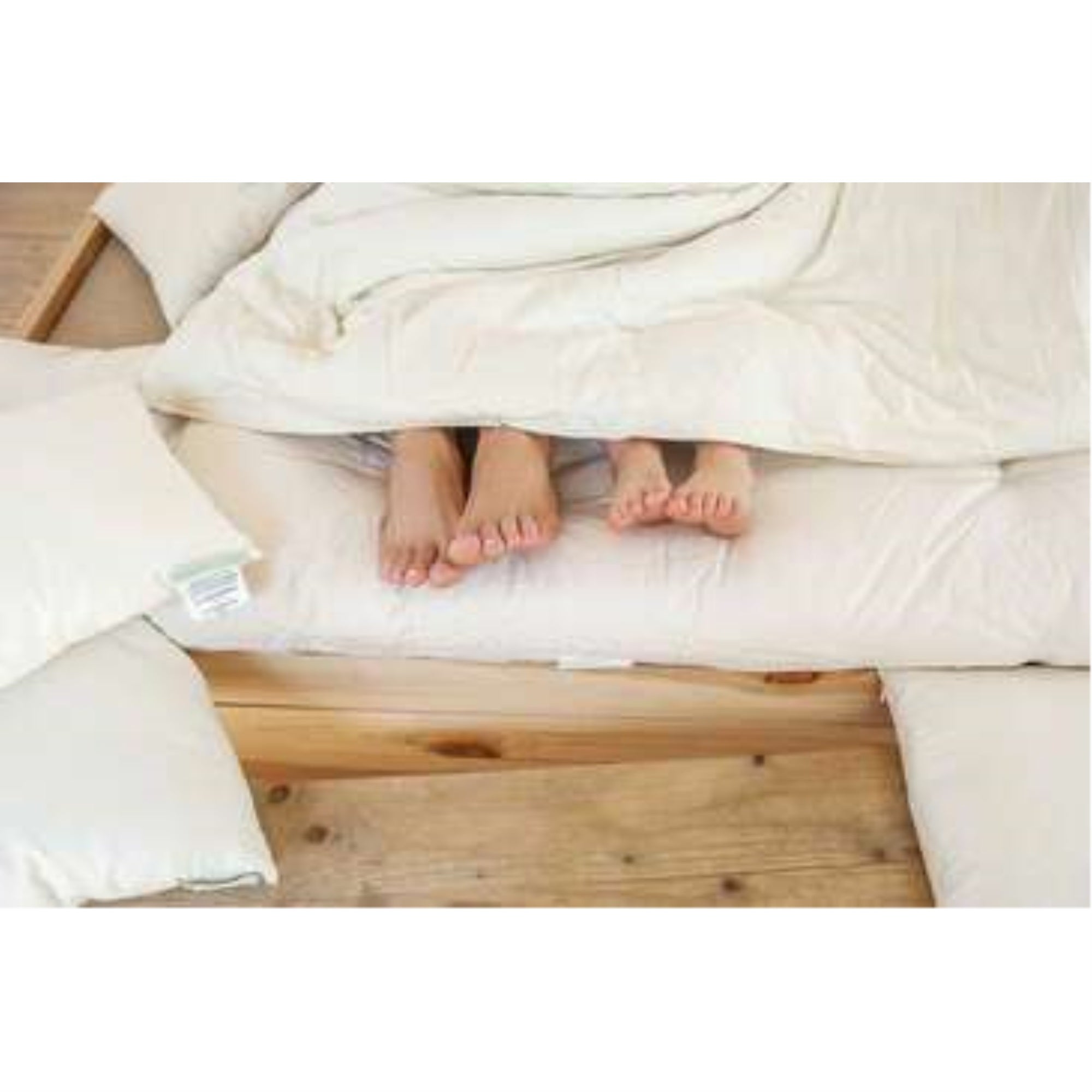 Wool Toddler Duvet  In Organic Sateen Casing