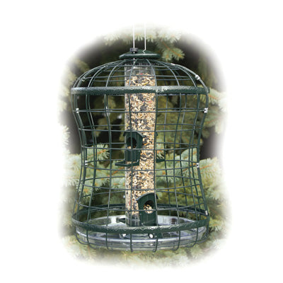 Caged Tube Feeder