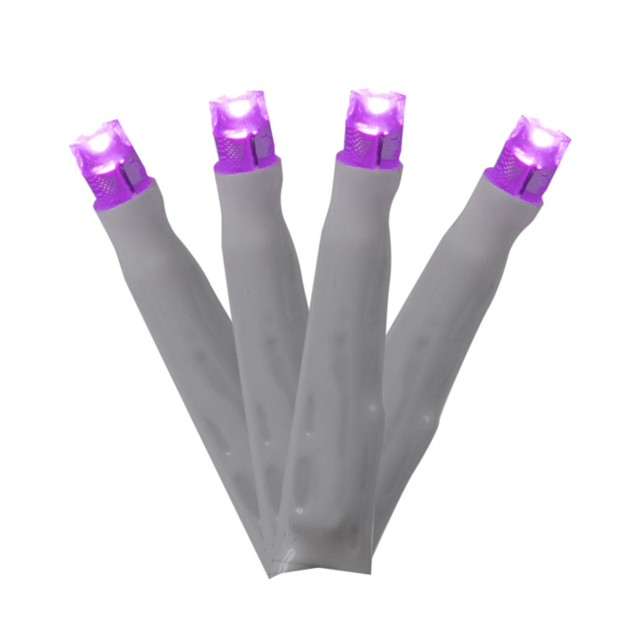 144Lt LED Purple Cluster Set WW E-C 24'L