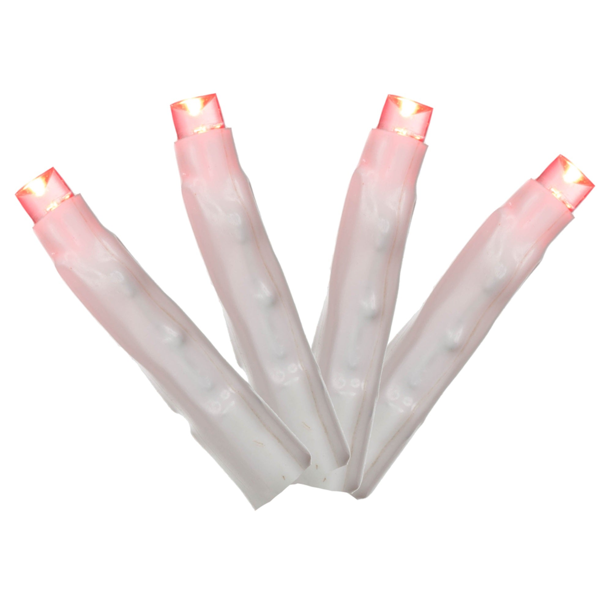 144Lt LED Pink Cluster Set  WW  E-C 24'L