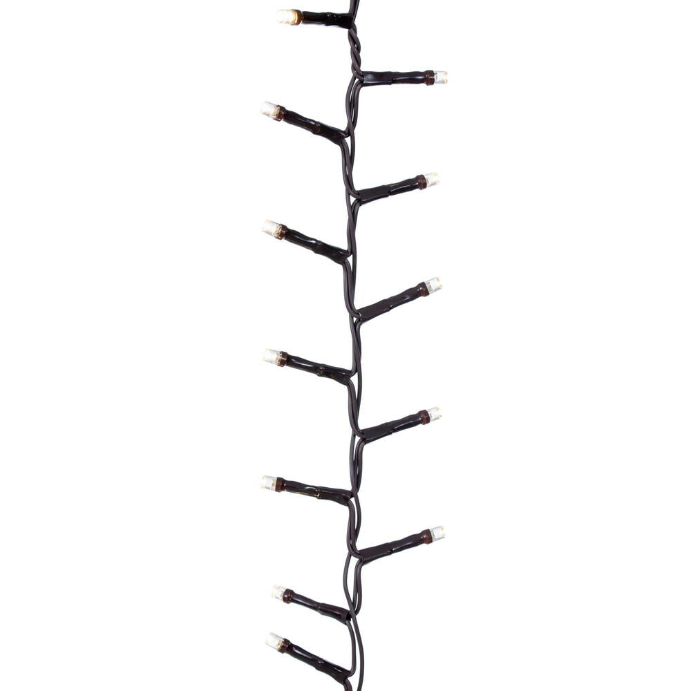 250Lt x 18' LED WW 8F Snake EC Set Bw
