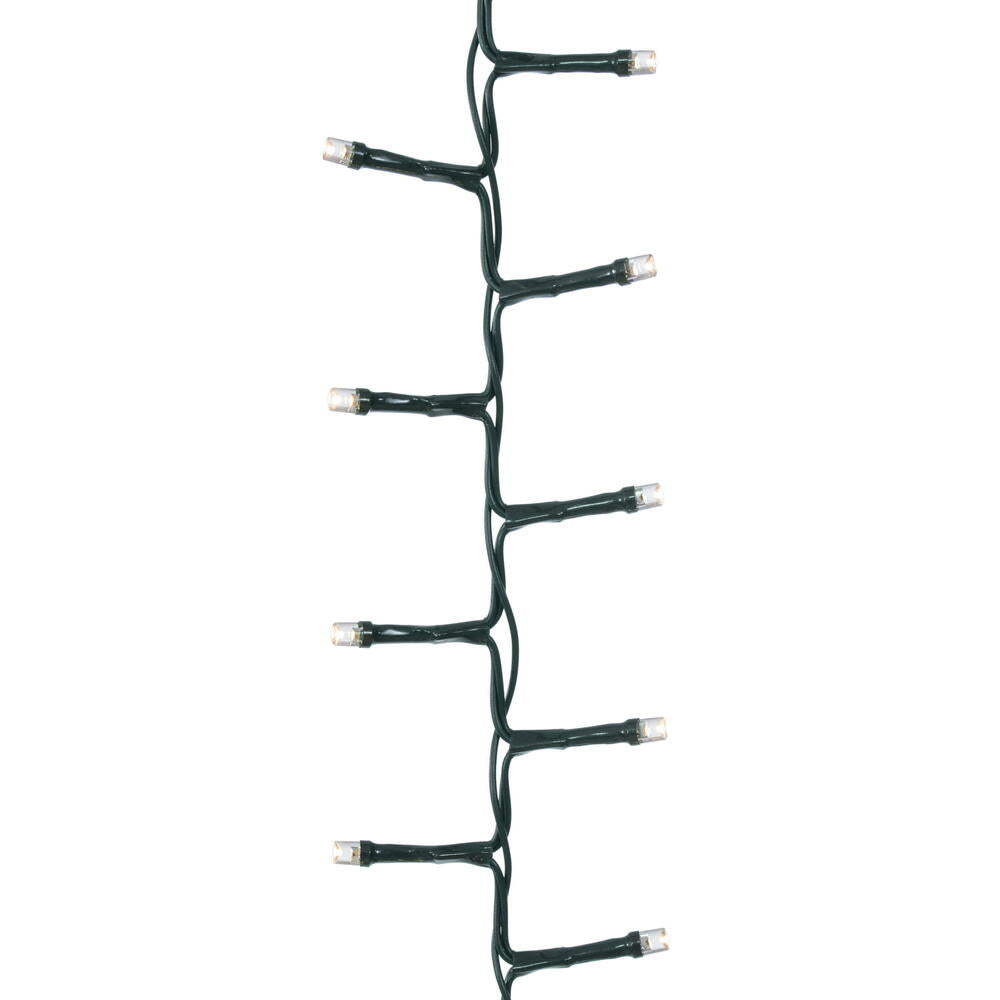 250Lt x 18' LED WW 8F Snake EC Set Gw