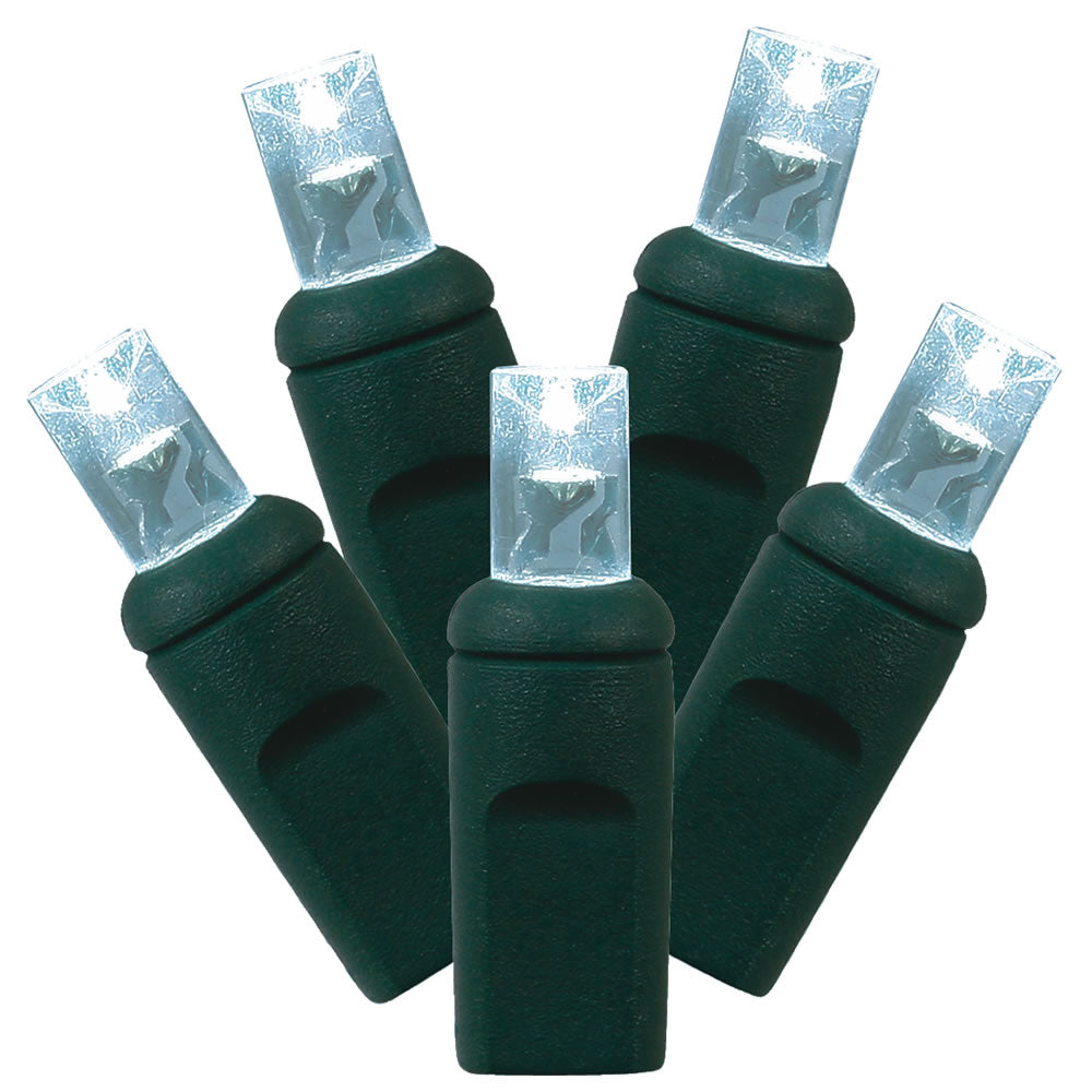 Vickerman 100Lt LED Cool Wht/GW WA EC Set  34'L - X4G6105PBG