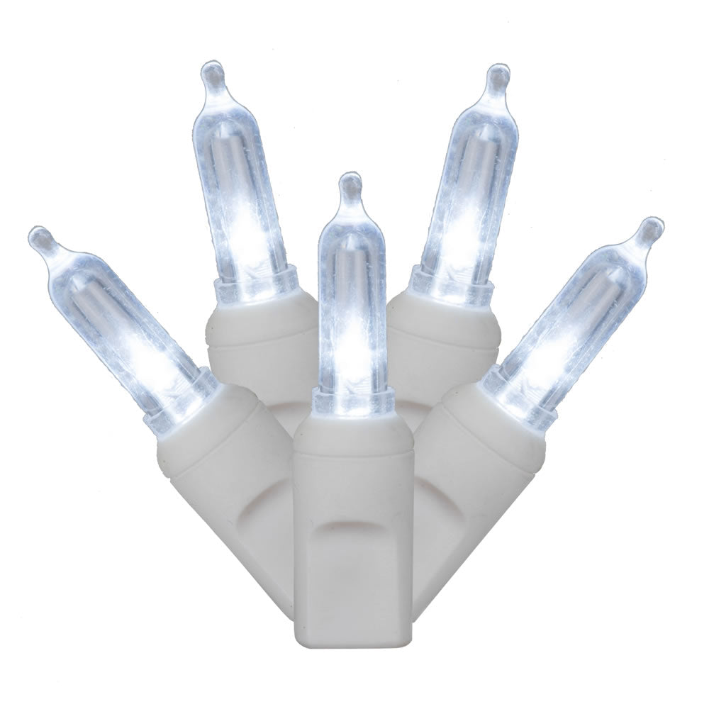 Vickerman 100Lt LED CoolWht/WW Italian EC  4″x34'L - X4W7105PBG