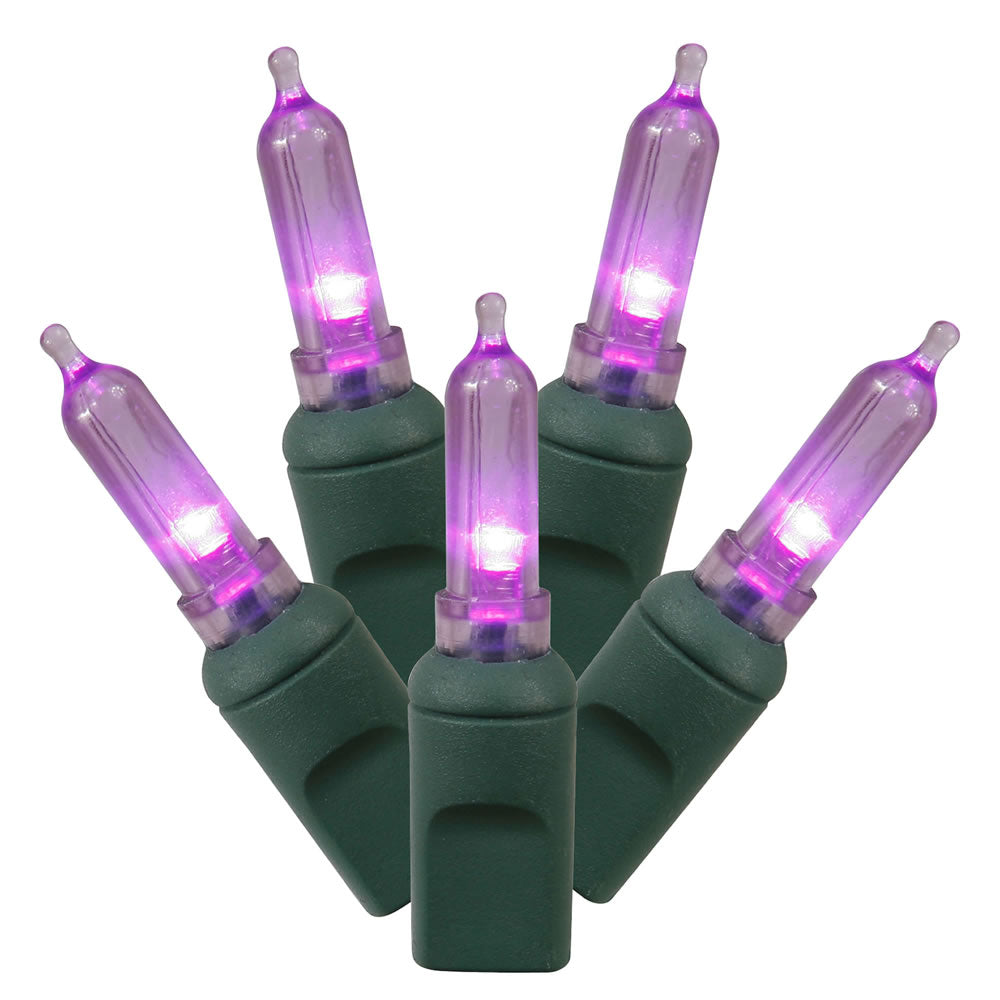 Vickerman 50Lt LED Purple/GW Italian EC  6″x25' - X6G7506