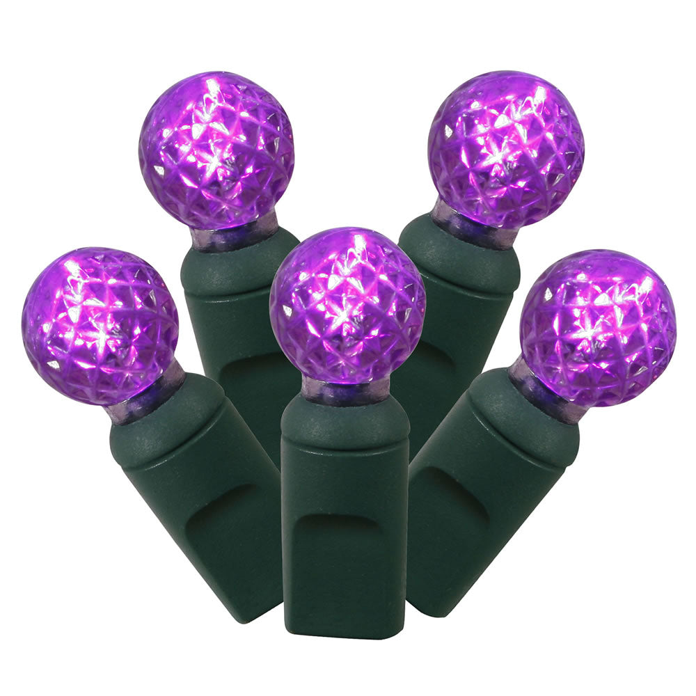 Vickerman 50Lt LED Purple/GW G12 EC Set  25'L - X6G9506