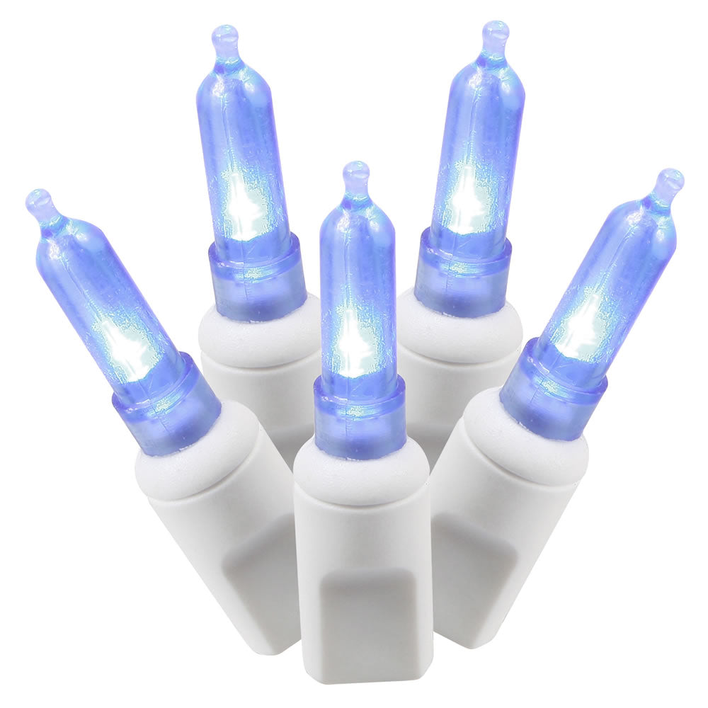 Vickerman 50Lt LED Blue/WW Italian EC  25'L - X6W7502