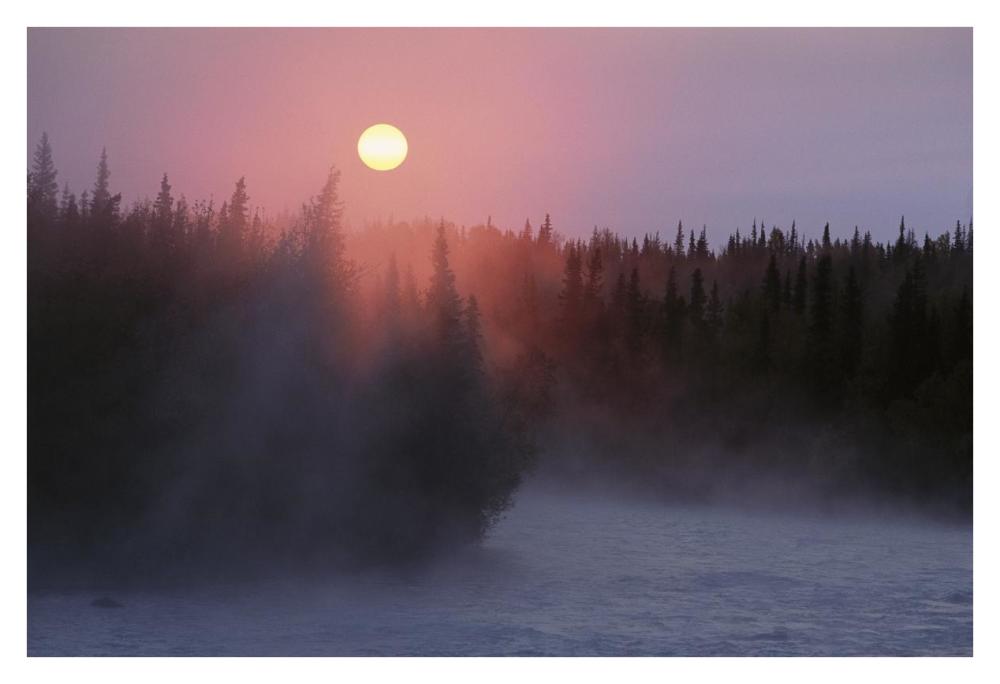 Sunrise Over Kasilof River, Kasilof, Alaska-Paper Art-38X26