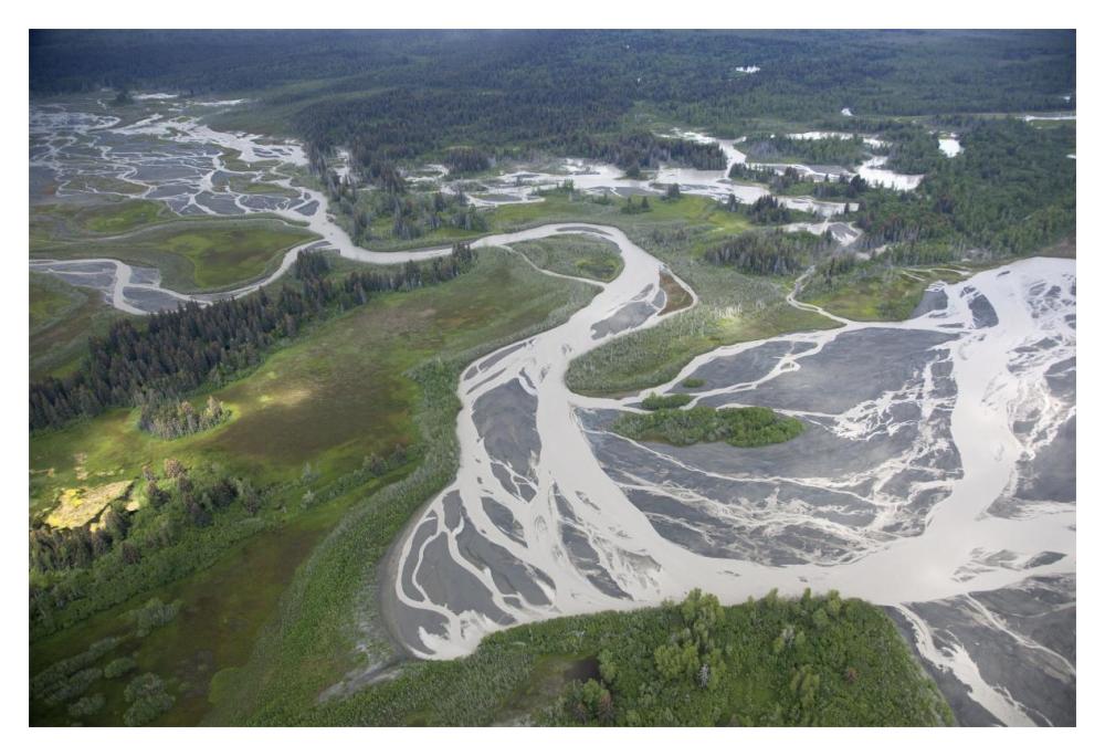 Kwik Stream In Taiga, Wrangell-St. Elias National Park, Alaska-Paper Art-20X14