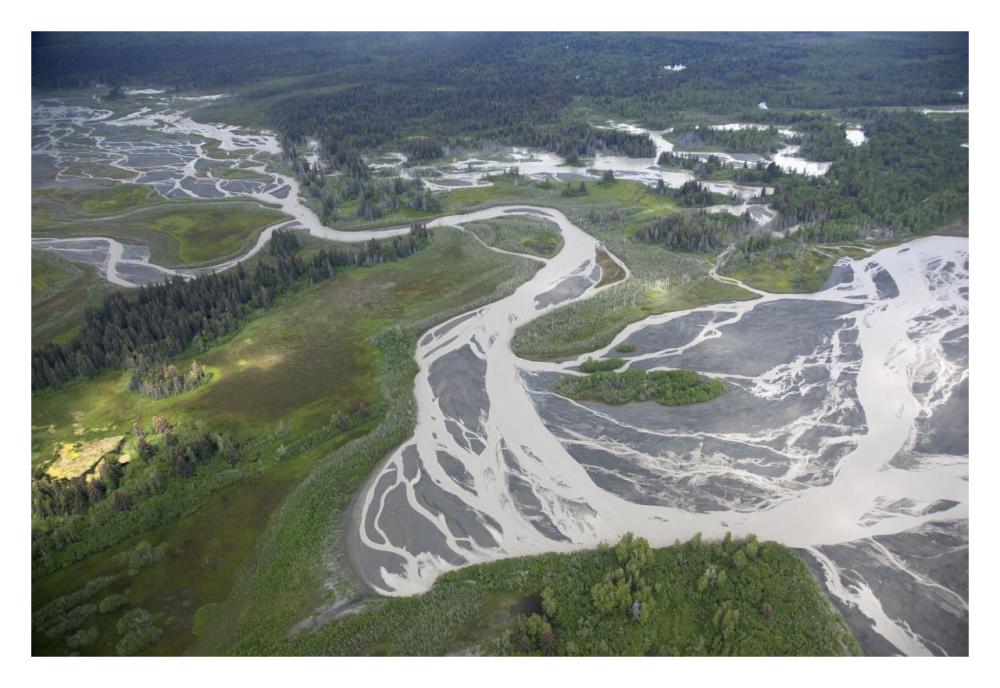 Kwik Stream In Taiga, Wrangell-St. Elias National Park, Alaska-Paper Art-32X22