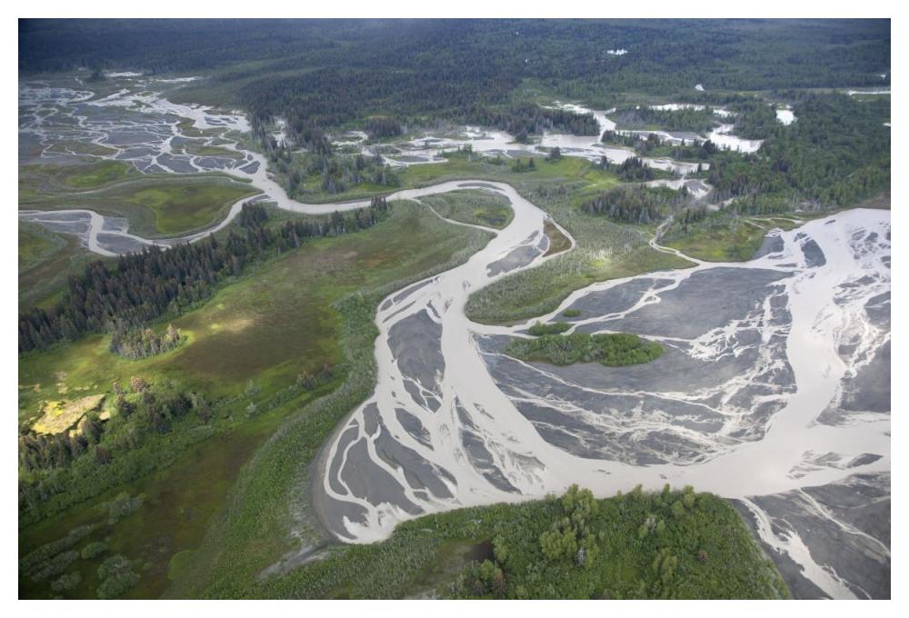 Kwik Stream In Taiga, Wrangell-St. Elias National Park, Alaska-Paper Art-50X34