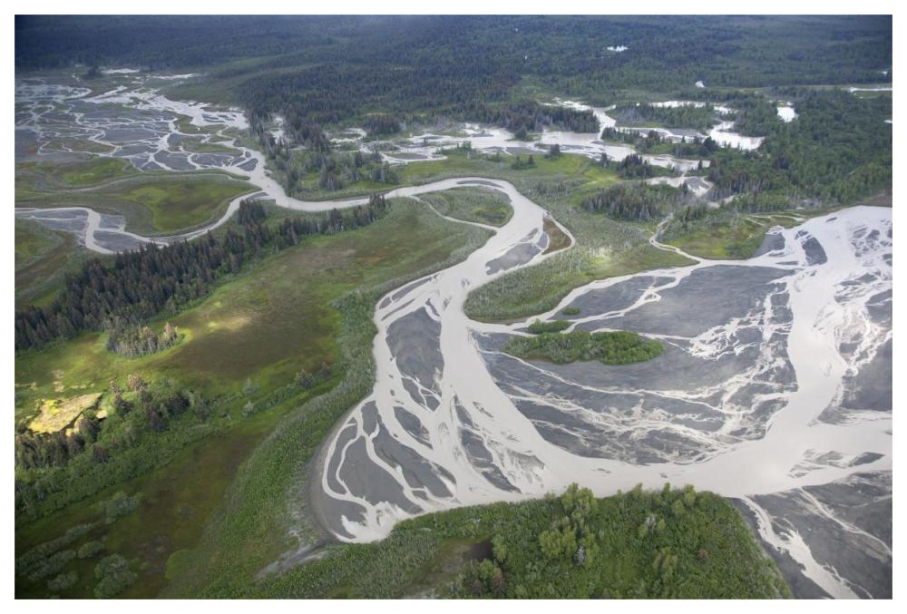 Kwik Stream In Taiga, Wrangell-St. Elias National Park, Alaska-Paper Art-62X42