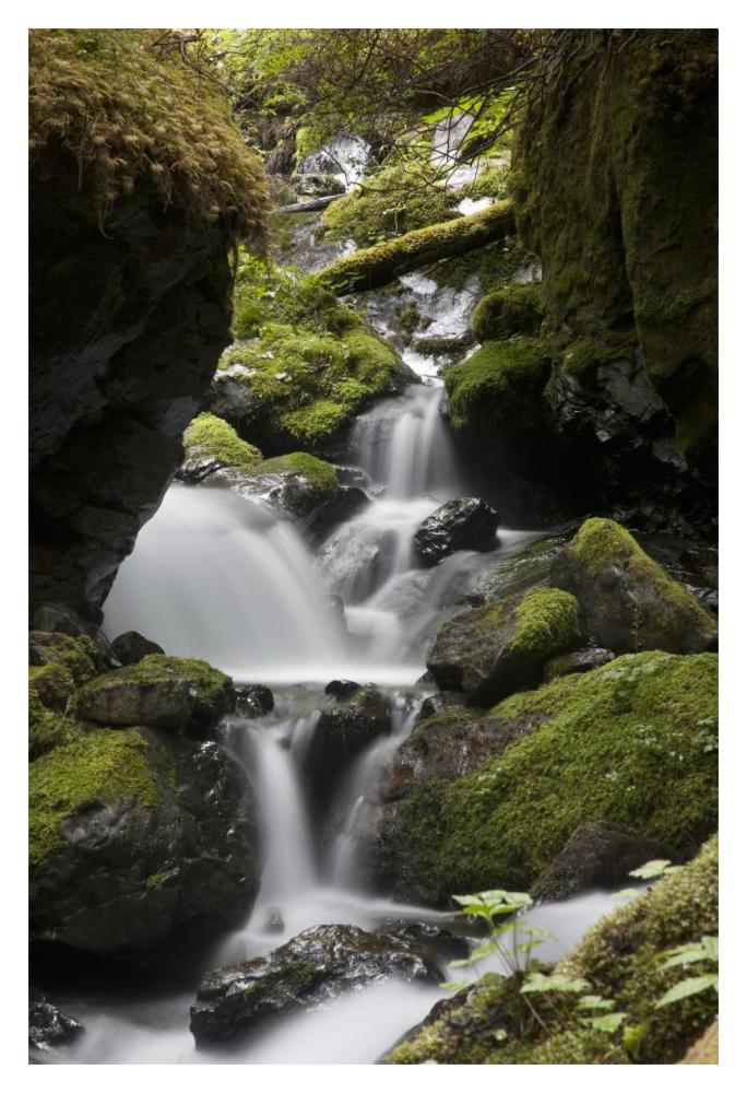Cascading Creek In Temperate Rainforest Interior, Sitka, Alaska-Paper Art-14X20