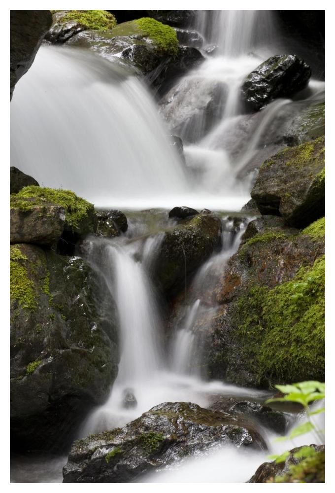 Cascading Creek In Temperate Rainforest Interior, Sitka, Alaska-Paper Art-34X50