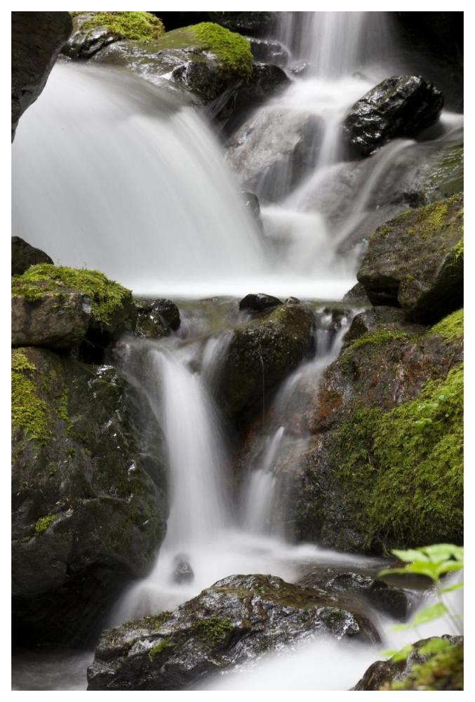 Cascading Creek In Temperate Rainforest Interior, Sitka, Alaska-Paper Art-42X62