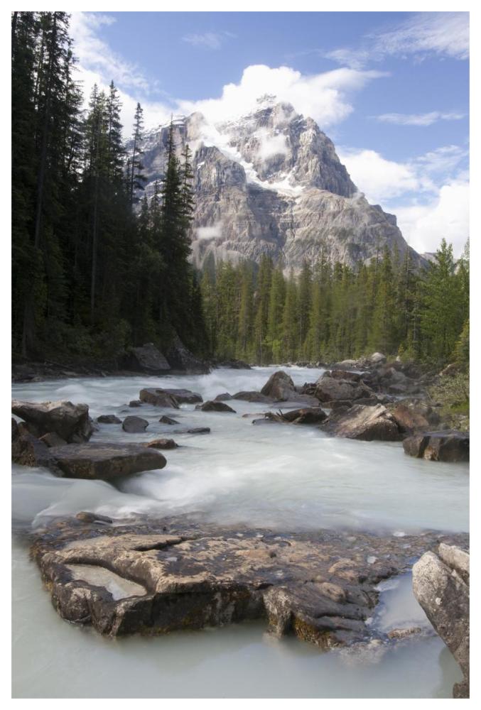 Mount Stephen And Yoho River, Yoho National Park, British Columbia, Canada-Paper Art-42X62