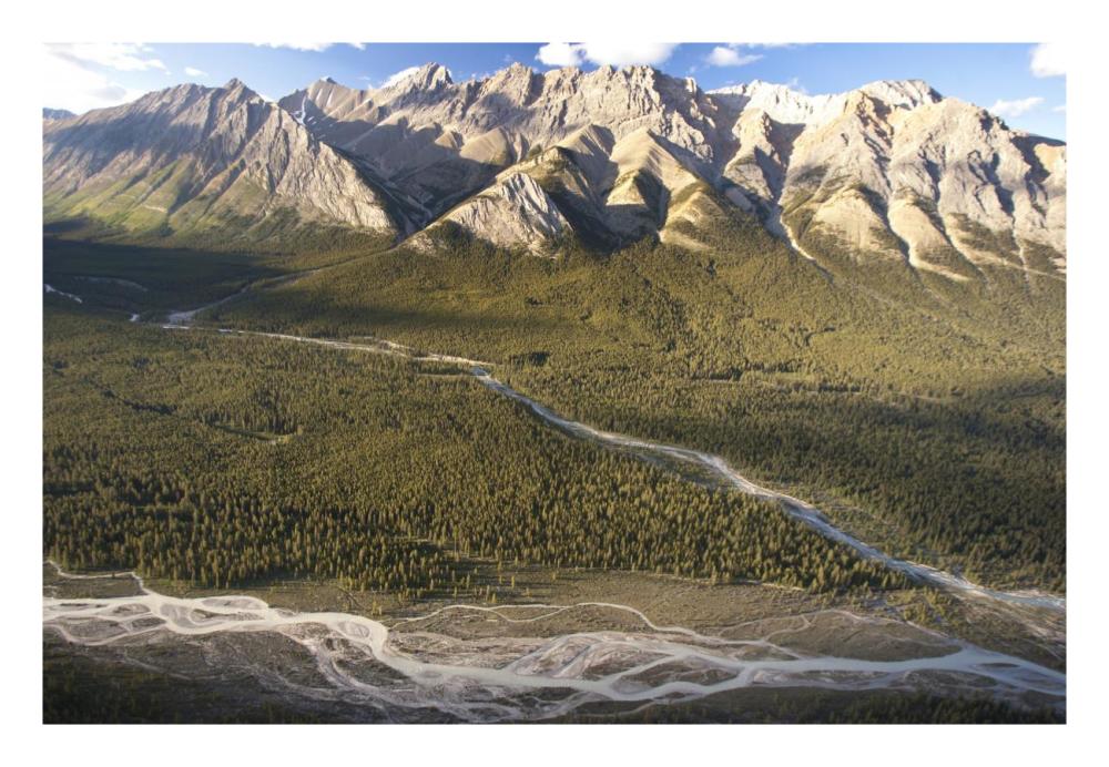 Mountains Above Coral Creek And Cline River, Jasper National Park, Alberta, Canada-Paper Art-26X18