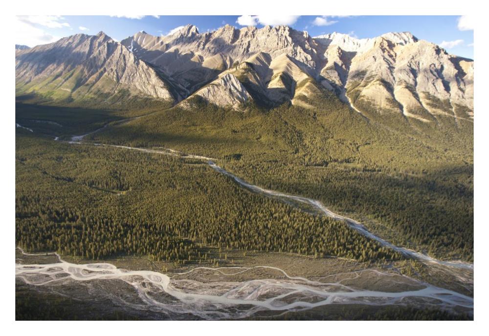 Mountains Above Coral Creek And Cline River, Jasper National Park, Alberta, Canada-Paper Art-32X22