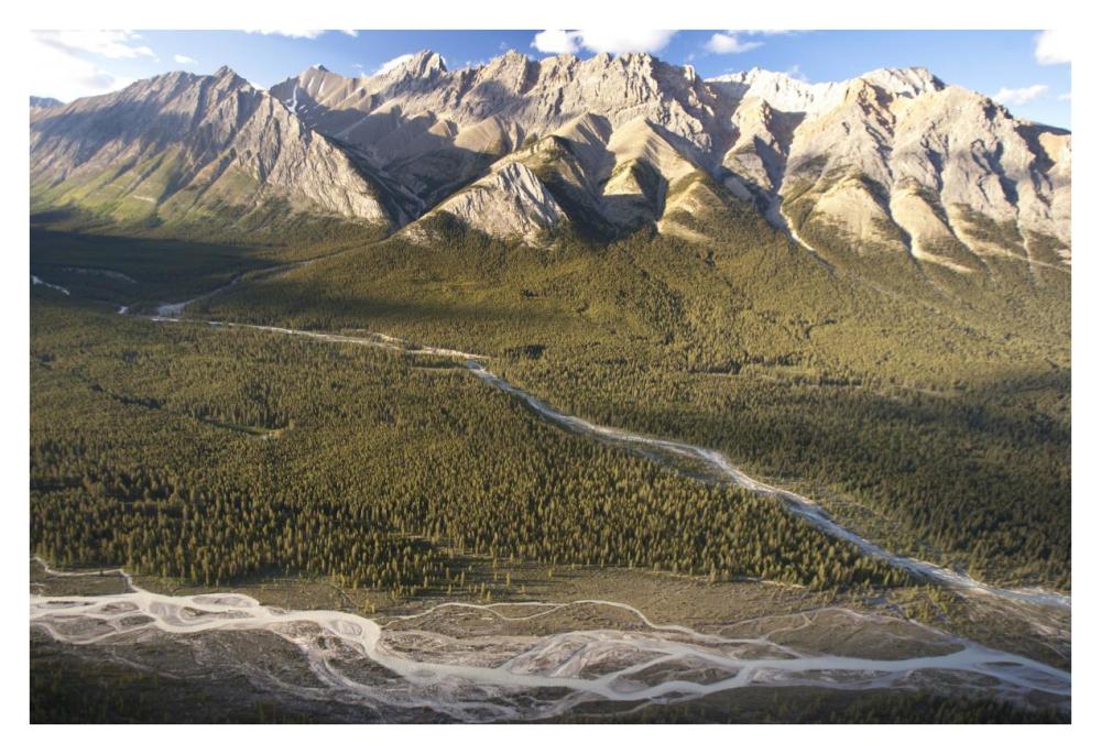 Mountains Above Coral Creek And Cline River, Jasper National Park, Alberta, Canada-Paper Art-38X26