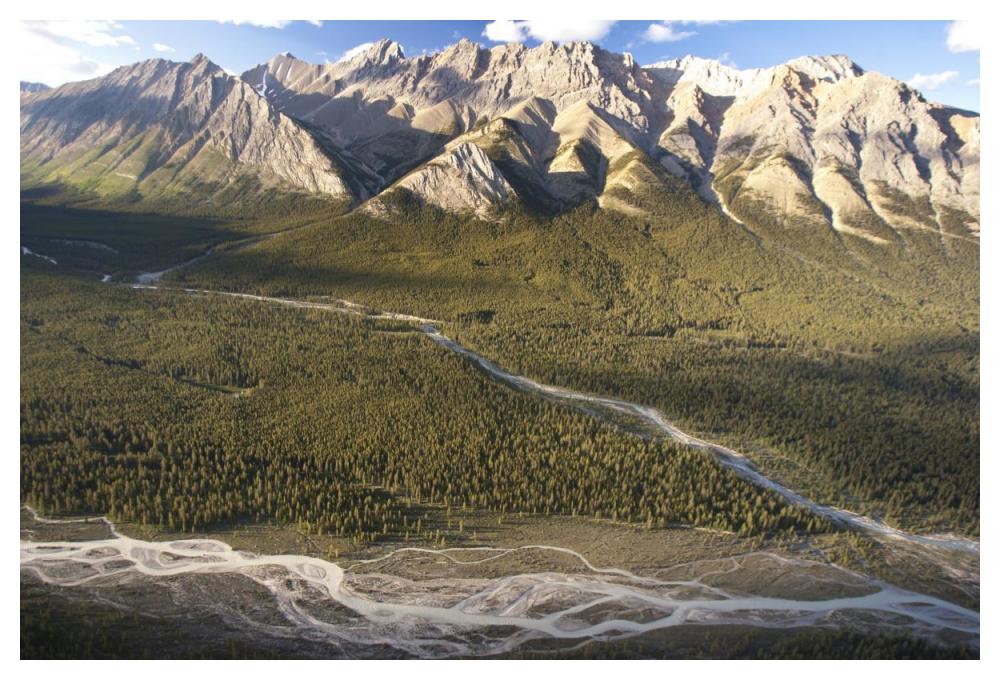 Mountains Above Coral Creek And Cline River, Jasper National Park, Alberta, Canada-Paper Art-50X34