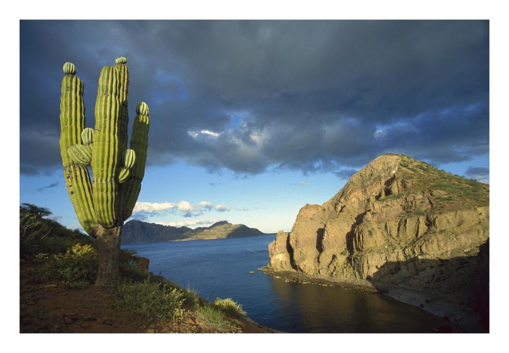 Danzante Island, Sea Of Cortez, Baja California, Mexico-Paper Art-26X18