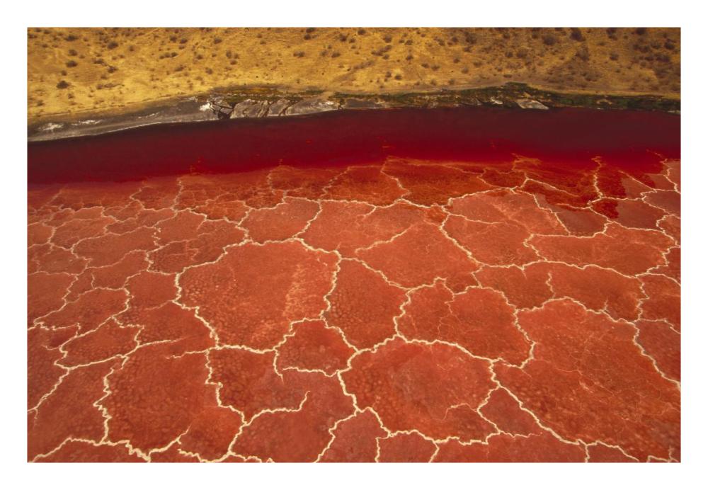 Soda Formations On The Surface Of Lake Natron, Tanzania, East Africa-Paper Art-26X18