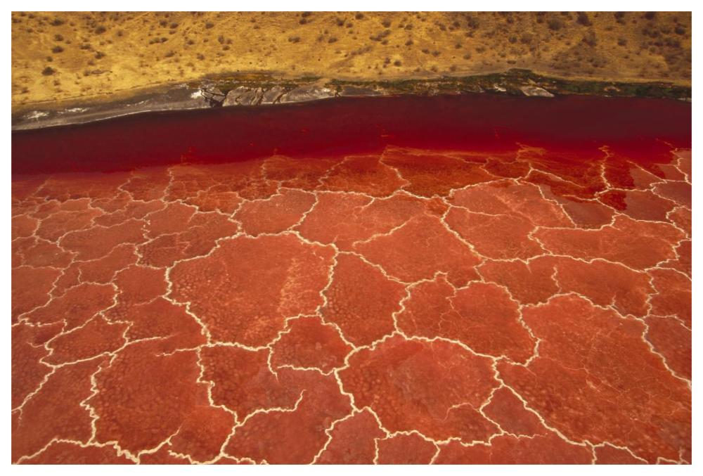 Soda Formations On The Surface Of Lake Natron, Tanzania, East Africa-Paper Art-62X42