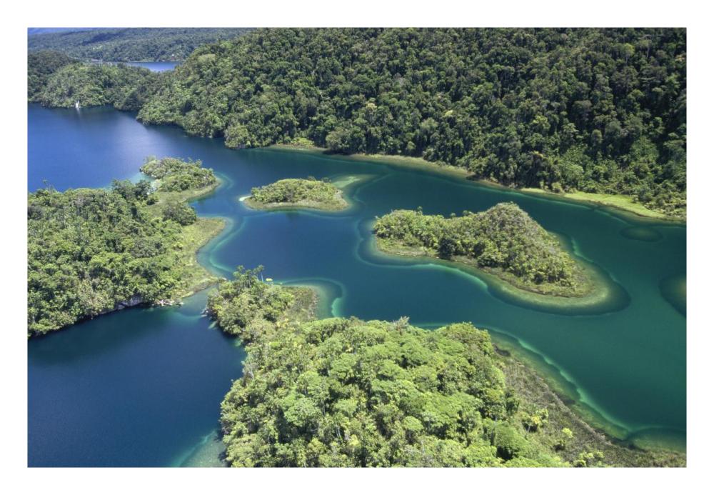 Islands At Southeast End Of Lake Kutubu In The Highlands, Papua New Guinea-Paper Art-26X18