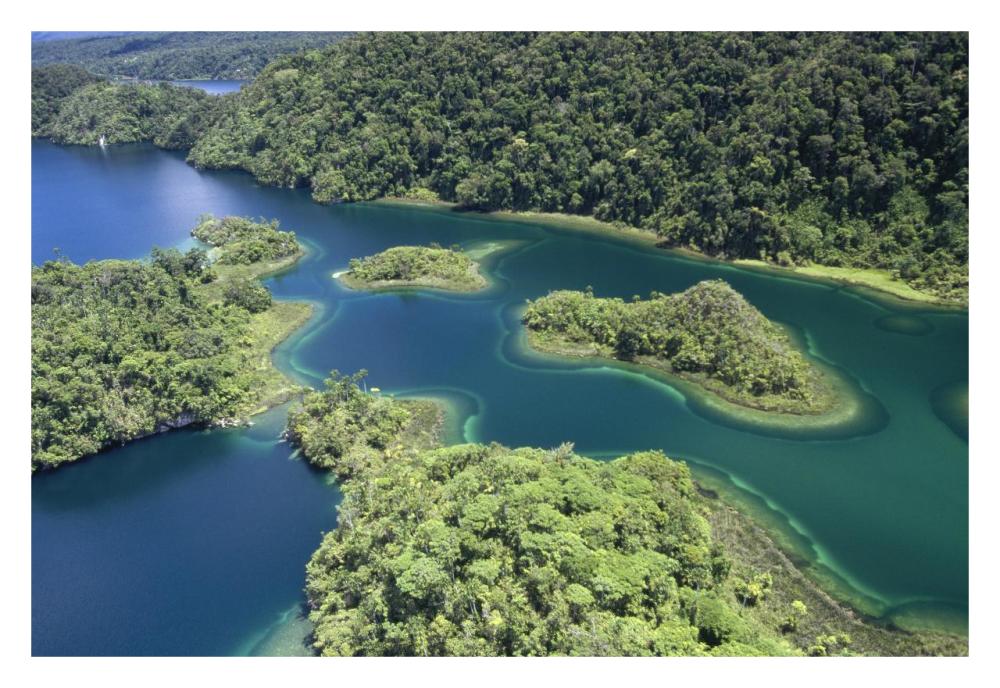 Islands At Southeast End Of Lake Kutubu In The Highlands, Papua New Guinea-Paper Art-32X22