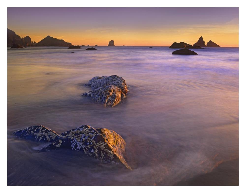 Coastline, Lone Beach, Oregon-Paper Art-34X26