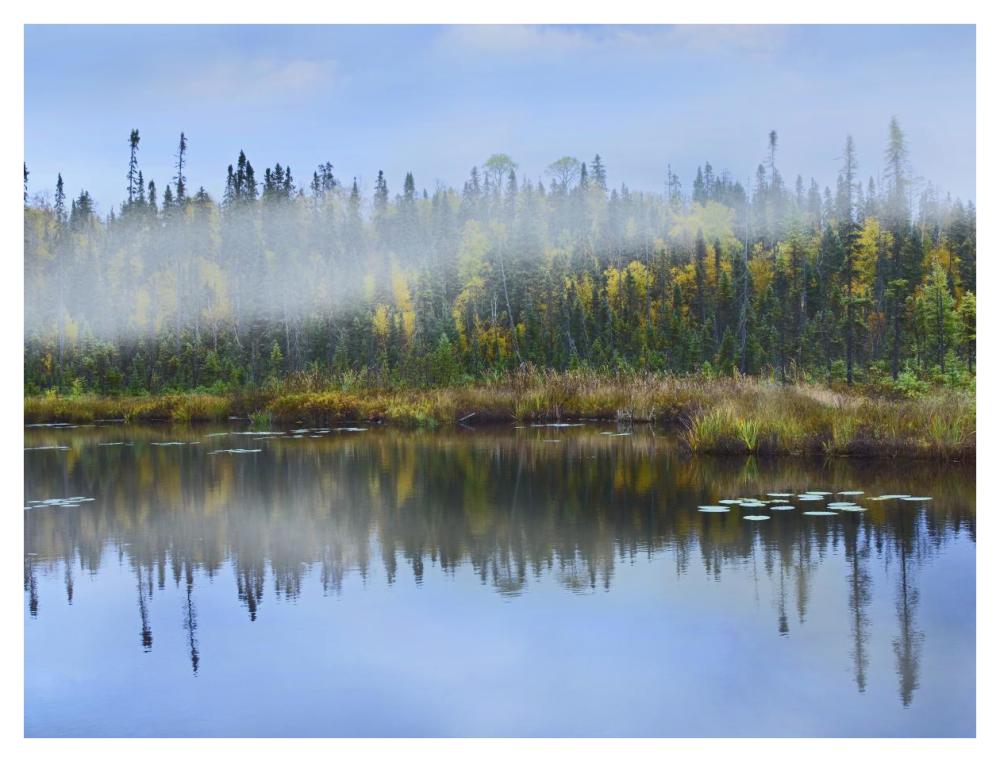 Fog Over Lake, Ontario, Canada-Paper Art-42X32