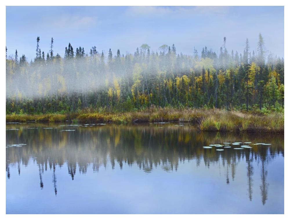Fog Over Lake, Ontario, Canada-Paper Art-50X38