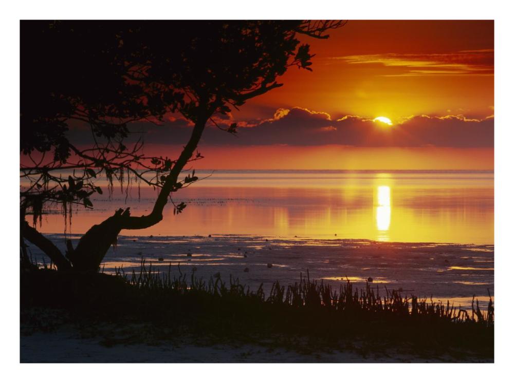 Sunset Over Anne'S Beach, Florida-Paper Art-26X20