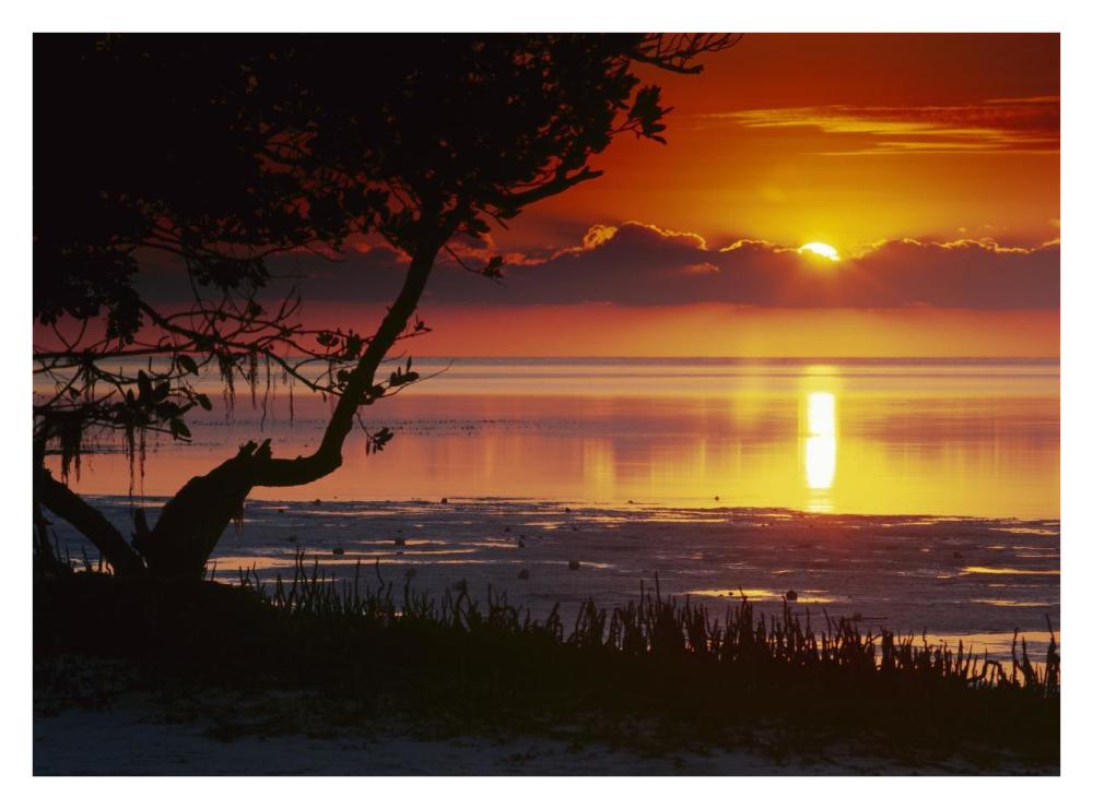 Sunset Over Anne'S Beach, Florida-Paper Art-34X26